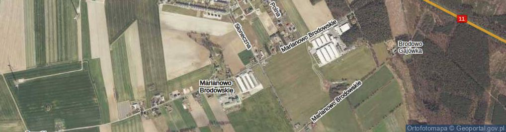 Zdjęcie satelitarne Marianowo Brodowskie ul.